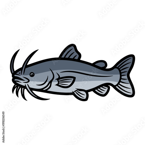 Illustration of a Catfish with long barbels.