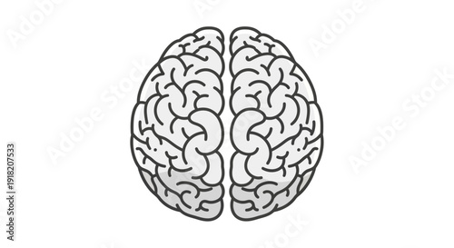 Conceptual brain illustration showing intelligence and cognitive function