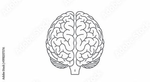 Stylized outline of a human brain on white background for medical use