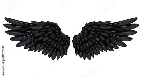 A pair of detailed black wings spread in a symmetrical pose