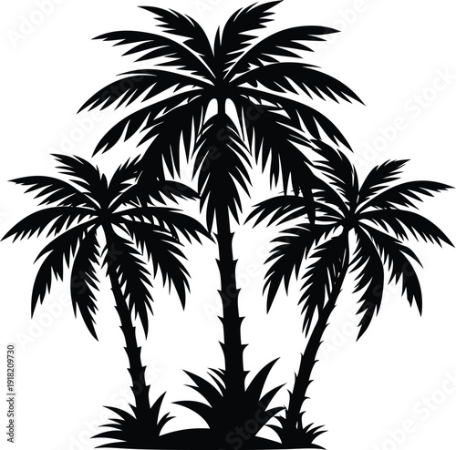 Silhouettes of four tall palm trees standing closely together against a plain background.
