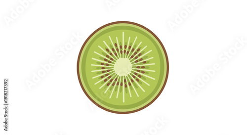 Fresh Green Kiwi Fruit Slice with Seeds Illustration on Isolated White Background
