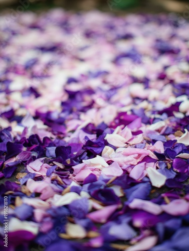 A vibrant spread of delicate purple, pink, and white flower petals creates an elegant and serene atmosphere, ideal for wedding invitations, event decor, or nature-themed projects,