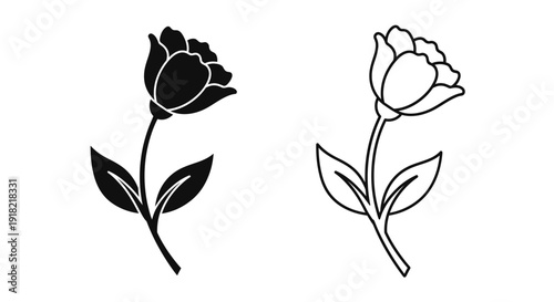 Black and white rose line art, minimalist floral design, vector illustration Vector