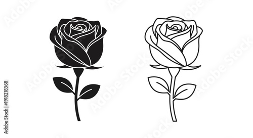 Two black and white roses illustration, minimalist rose drawing, elegant floral design Vector