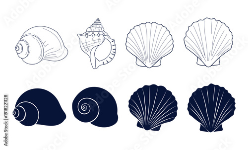 Diverse illustrations of different types of seashells in white and black outlines