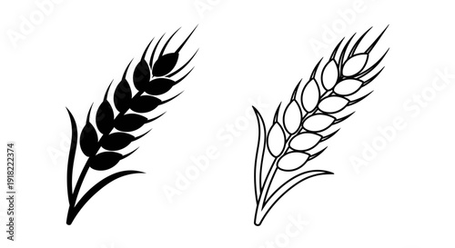 Two wheat ears illustration, wheat ears, wheat, ears, illustration, vector, art, design, drawing, Vector