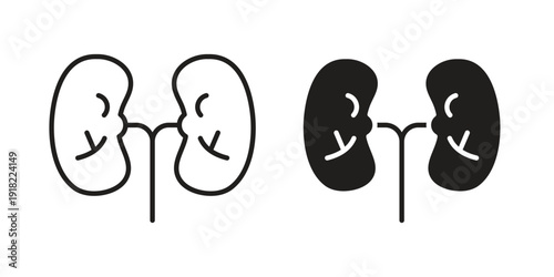 Kidney icon. Vector linear icon collection. Vector EPS10