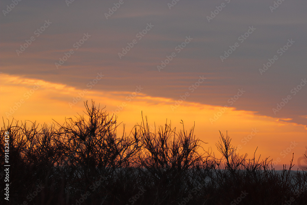 Fototapeta premium sunset over the field