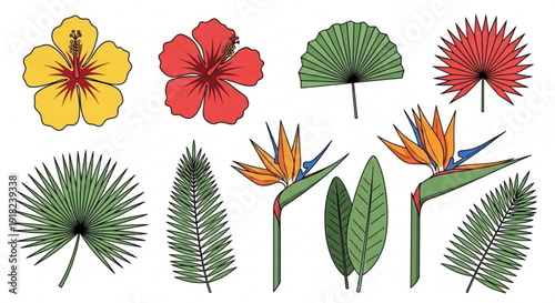 Tropical floral arrangement with exotic flowers and leaves on white background for decoration