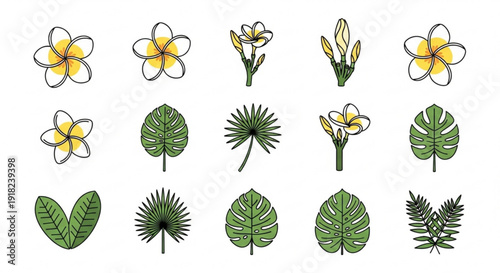 Tropical floral illustrations with various green leaves and yellow flowers on white background for decoration and design