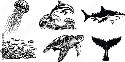 Vector, silhouette, set, of, marine, animals, including, shark, dolphin, sea, turtle, jellyfish, and, whale, tail, isolated, on, white, background, collection.