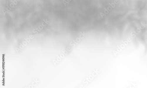 Transparent vapor with gentle floating motion. Fine textures enhance visual realism. Excellent overlay for digital artwork PNG.
