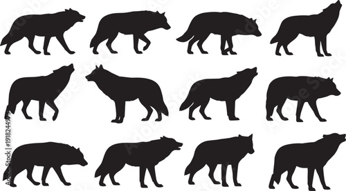 Collection of various black silhouette bear illustrations walking in different positions and directions.