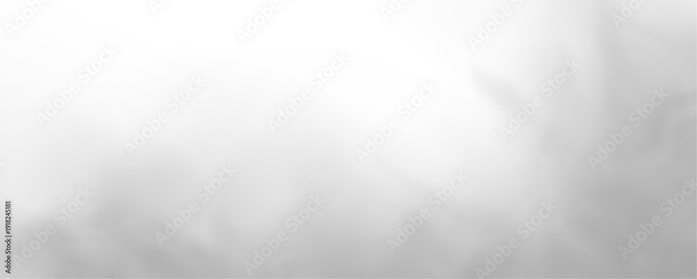 Fototapeta premium Soft gray mist flows gently across the scene. Smooth gradients add dreamy elegance. Perfect overlay for illustrations PNG. 