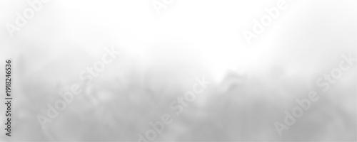 Smoke spreads naturally across transparent layers, giving realistic textures. Ideal for fantasy, horror, or abstract digital projects. PNG overlay included.