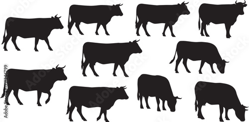 Silhouette of a herd of cows grazing in a field, showcasing a serene rural landscape and peaceful farm animals in a simple illustration.