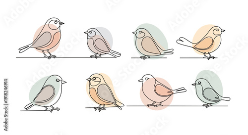 Colorful Birds Perched on Wire Together.
