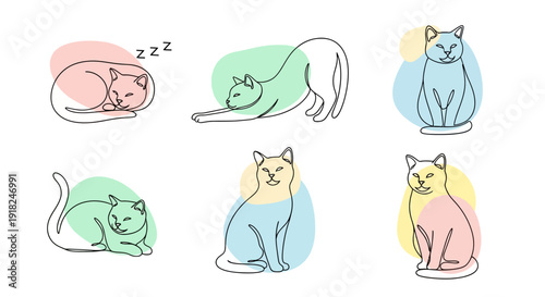 Colorful Cat Illustrations in Various Poses.