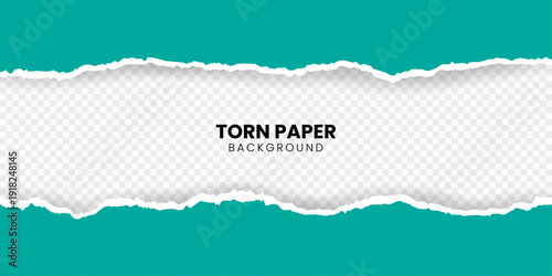 	
Ripped out torn paper sheet edge background. White color ripped torn paper banner isolated in transparent background. Vector illustration.