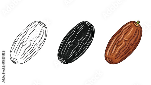 Set of three dates outline, black and and colored realistic illustration of dried fruit