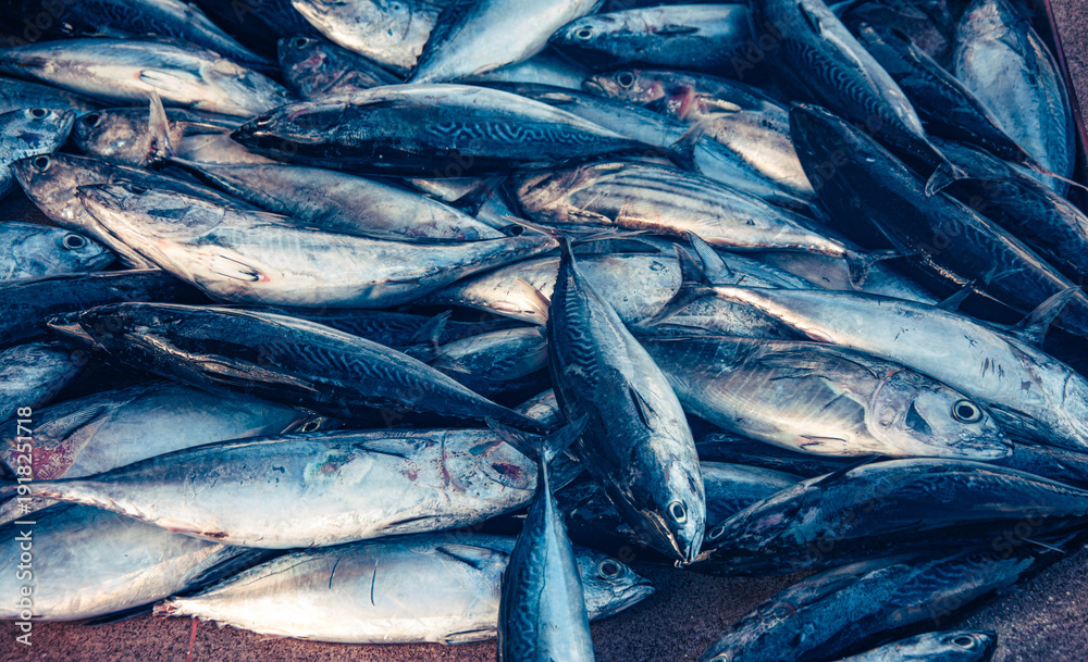 Obraz premium Fresh Tuna Fish at Seafood Market
