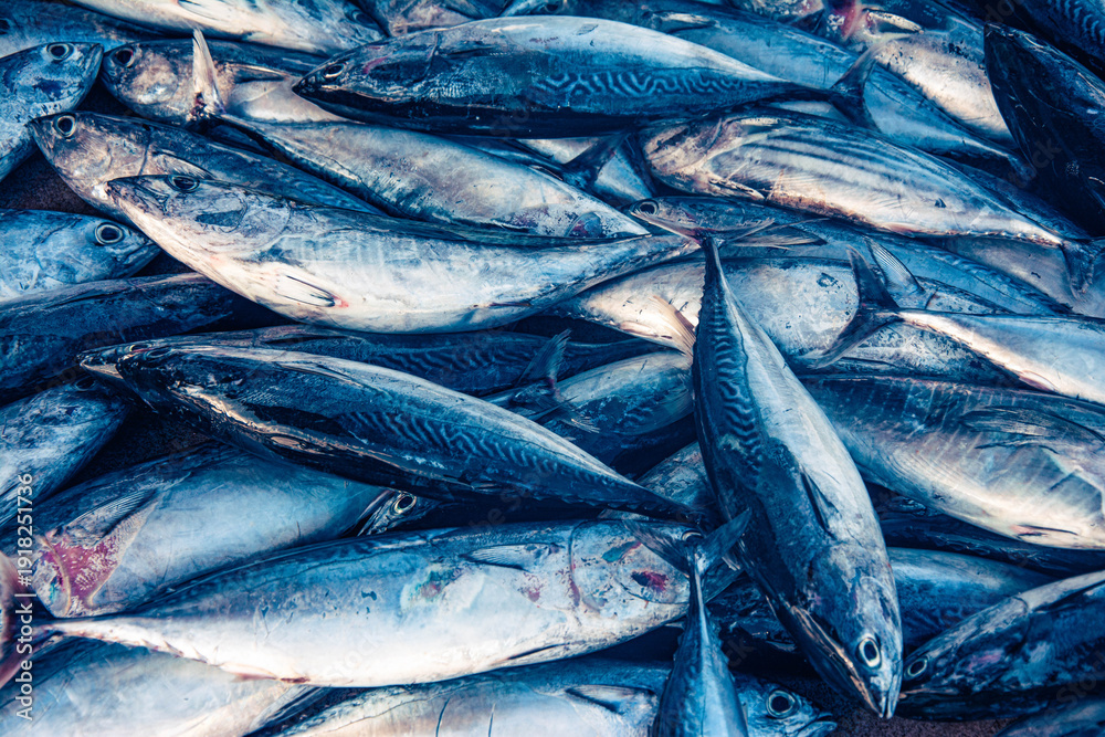 Obraz premium Fresh Tuna Fish at Seafood Market