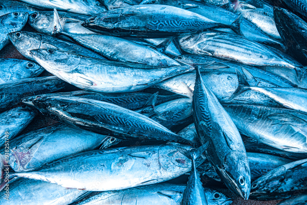 Obraz premium Fresh Tuna Fish at Seafood Market