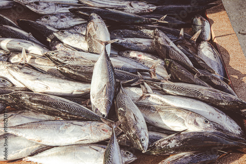 Fresh Tuna Fish at Seafood Market