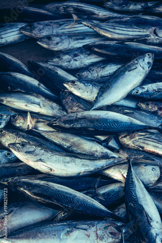 Fresh Tuna Fish at Seafood Market