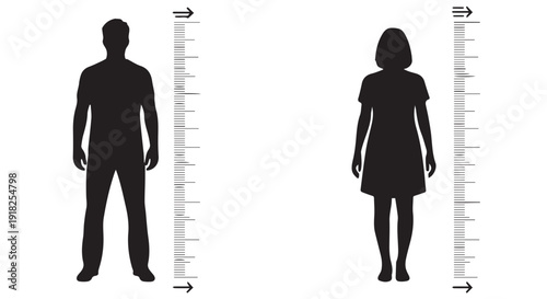 Silhouette of a man and woman standing beside height measurement charts, isolated on Transparent Background, indicating height comparison.