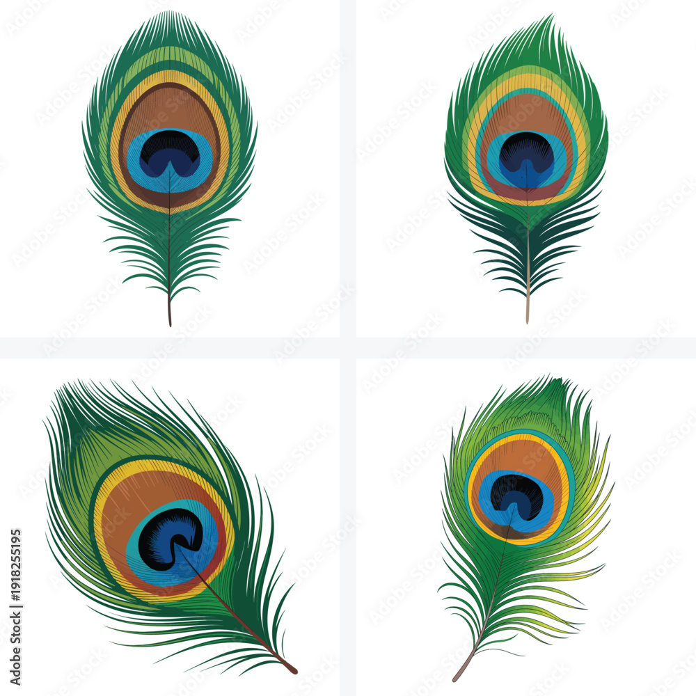 Obraz premium Vector set of colorful peacock feathers with detailed eye patterns isolated on white background
