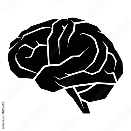 Silhouette of Human Brain: A stark silhouette of the brain against a monochrome backdrop, symbolizing thought, intelligence, and the complexities of the mind. 