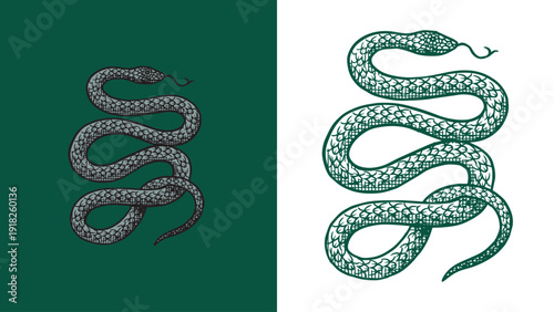 Heraldic poisonous snake with roots for coat of arms design and shield. Hand drawn engraving in old traditional medieval style, modern made element for family symbols and logo templates