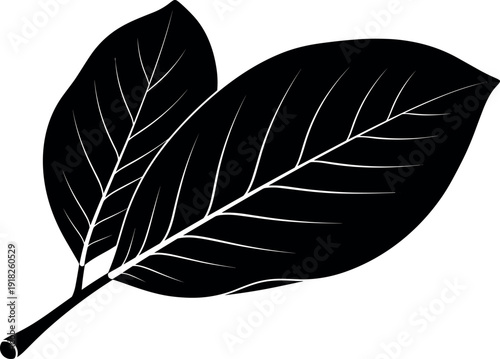 Of two black silhouetted leaves on a stem with detailed veins