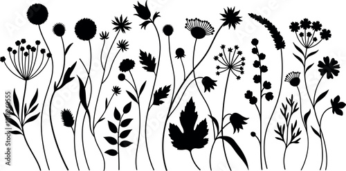 collection of wildflower silhouettes vector illustration