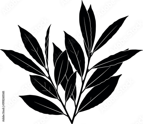 black silhouette of laurel leaves on a pure
