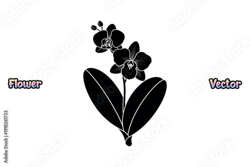 Orchid flower cluster on stem. Exotic floral nature icon. Minimalist garden plant symbol. Black and white botanical graphic. Isolated bloom design element. Tropical blossom art vector.
