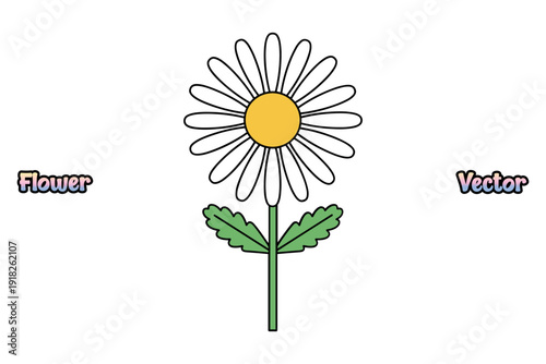 Simple daisy flower head. Minimalist floral nature icon. Colorful garden plant symbol. Black and white botanical graphic. Isolated blossom design element. Petal bloom art vector.