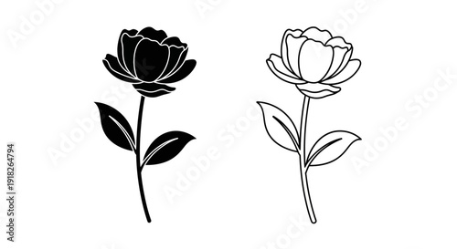 Black and white rose illustration, minimalist floral design, vector art, elegant botanical Vector