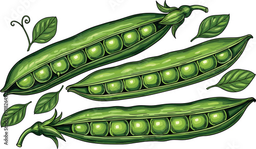 Detailed Illustration of Fresh Green Pea Pods with Leaves for Healthy Food Design