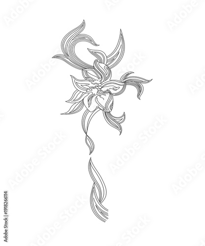 wisteria flower digital drawing line illustration isolated