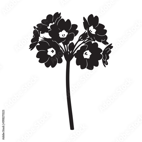 Primrose flowers silhouette vector illustration, simple black and white