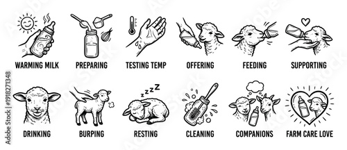 Black and white hand-drawn icon set showing the steps for bottle-feeding and caring for a baby lamb, including milk preparation, feeding, burping, and resting