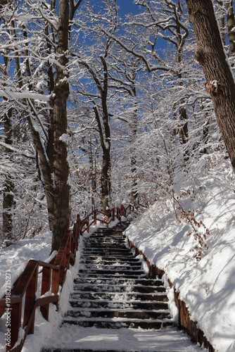 Winter forest in Poland under snow. Thick snow covers paths and branches, sparkles in the sunlight. Stairway to the top of the hill