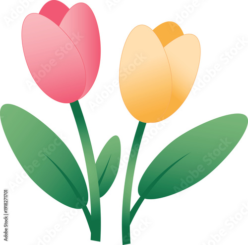 Spring Tulips Duo – Minimal Gradient Floral Illustration