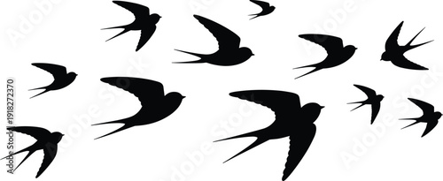 Flying, swallow, bird, silhouette, collection, black, isolated, wings, spread, nature, wildlife, swift, vector, set, illustration, design, pack, icons