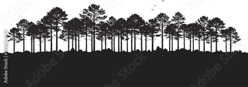 Serene landscape featuring silhouette of trees against a white background with birds flying overhead creating a peaceful atmosphere.