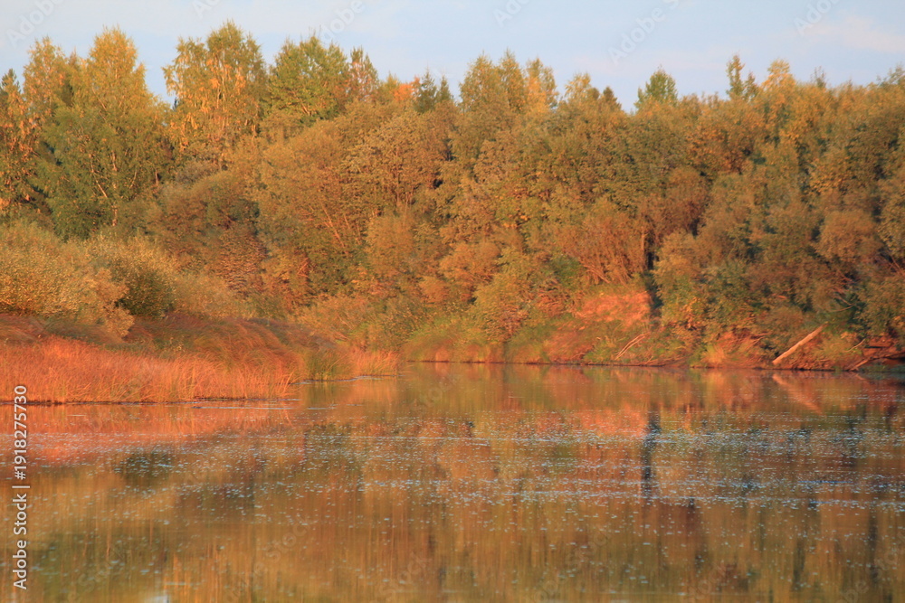 Obraz premium An evening sunset on a river in the forest of northeastern Europe on a sunny summer day