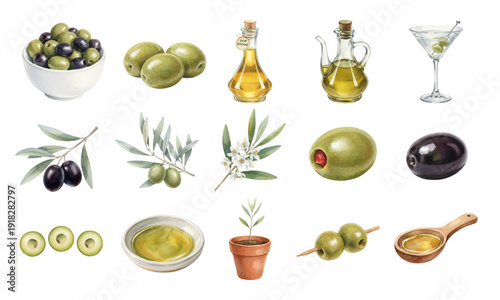 Watercolor Mediterranean Olive and Oil Harvest Set
